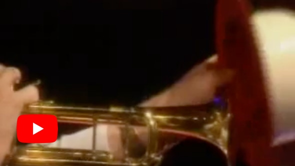 Video Video abspielen